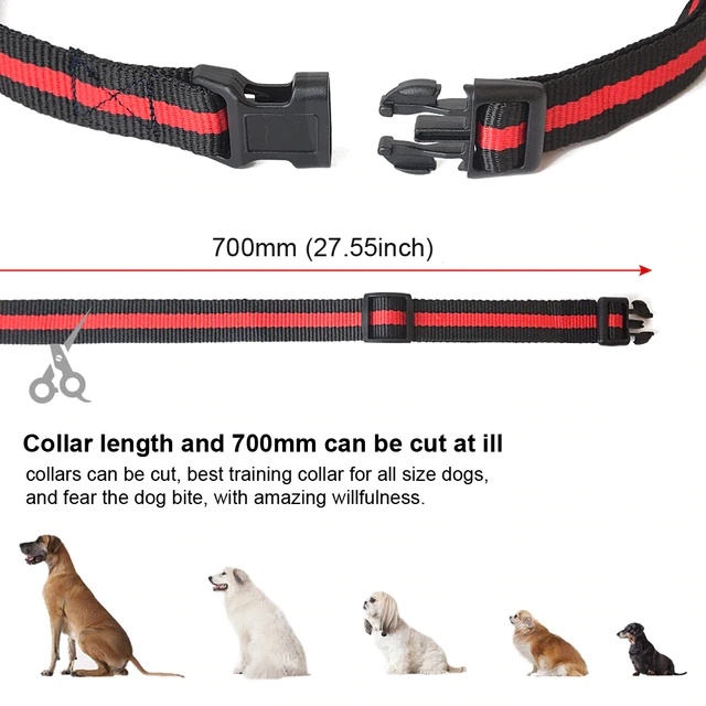 Pet-Dog-Electric-Training-Collar-Rechargeable-Waterproof-Remote-Shock-Collar-With-Vibration-Beep-LCD-Display-Pets.jpg_640x640.jpg_ (1)
