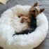 Warm and super soft dog bed, fuzzy winter cat bed, fluffy and cozy