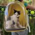 Capsule backpack Carrier Bubble Bag with transparent plastic shield and vent holes for safe walking with your cat or dog, for pets up to 13 lbs